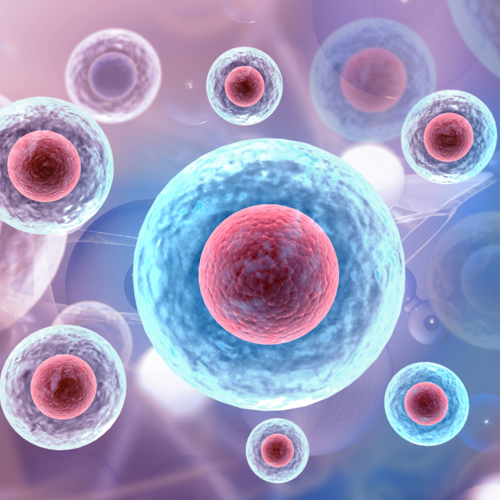 Illustration of cells with blue outer layers and red nuclei, subtly enhanced by the influence of NAD+ Injections against a soft, blurred background.