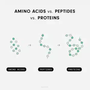 Peptides: The Key to Health