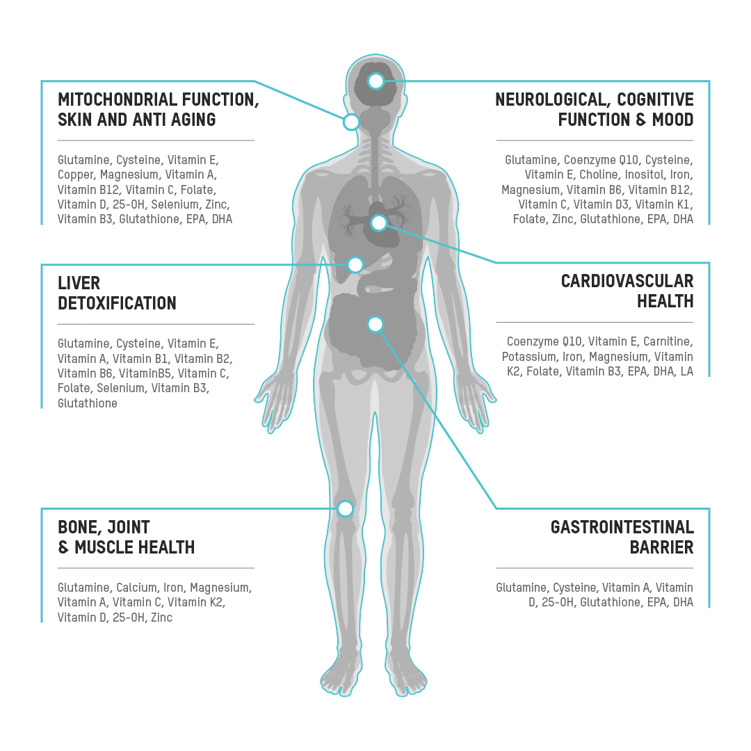 A diagram of the human body and its functions, highlighting the importance of micronutrient testing for overall health and well-being.