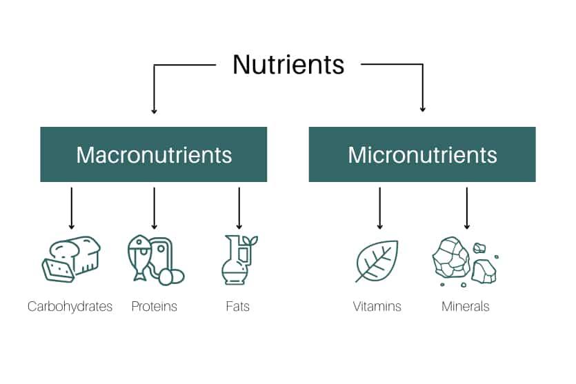 Micronutrient Testing - Optimizing Health by Assessing Micronutrient Levels