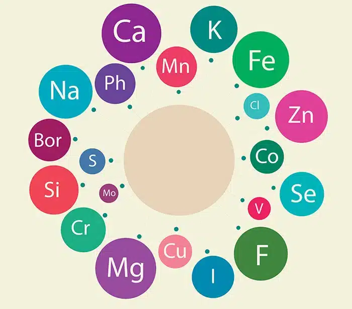 The circular periodic table of elements showcasing the benefits of micronutrient testing and how it can help optimize your health while addressing deficiencies in vitamins.