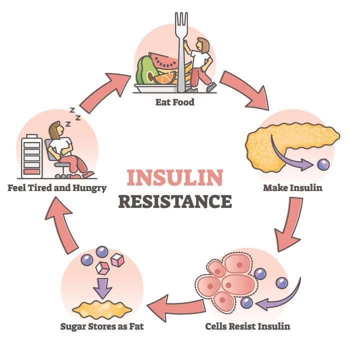 A diagram illustrating the stages of insulin resistance and discussing how Metformin works in managing this condition.