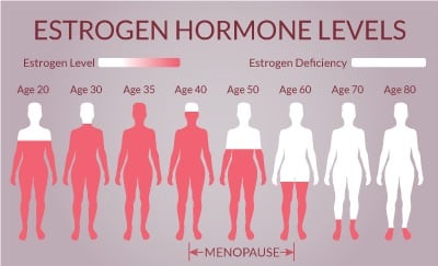 Managing Estrogen Hormone Levels in Men and Women during Menopause