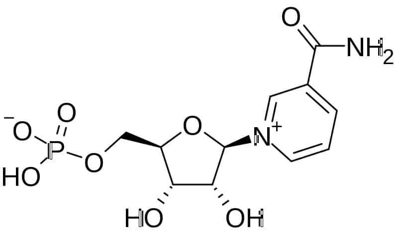 A chemical structure of NMN, a molecule known for boosting NAD+ levels.