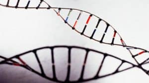 Benefits Of Trimethylglycine Supplementation | TMG Dosage
