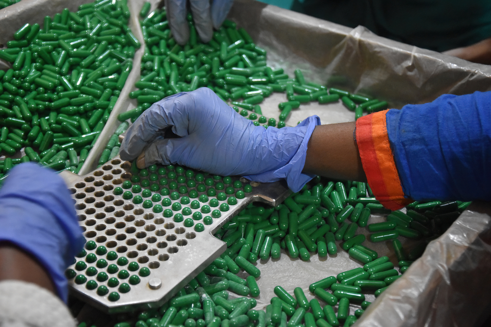 Pharmaceutical factory workers manually puts pills in empty container of capsule filling machine