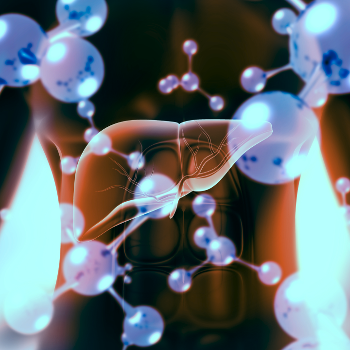 A translucent human liver, like a meticulously crafted elementor, is surrounded by abstract blue and white molecules on a dark background, hinting at a scientific or medical theme.