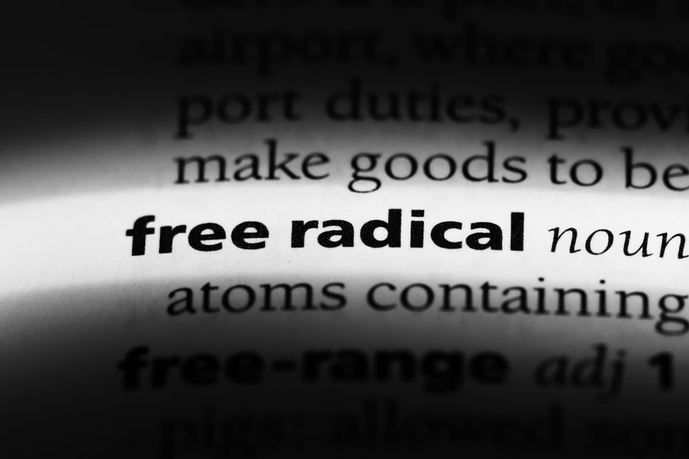 free radical word in a dictionary