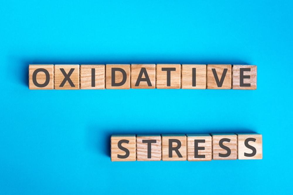 oxidative stress inscription wooden cubes with letters on a blue background